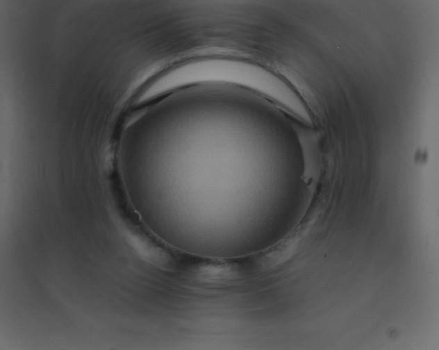 X0000094950160200712131630