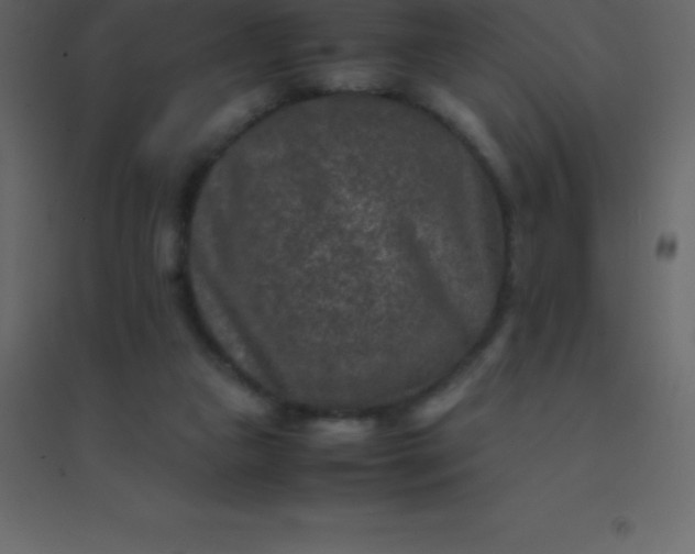 X0000094950161200712131630