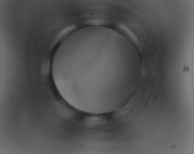 X0000094950163200712131630