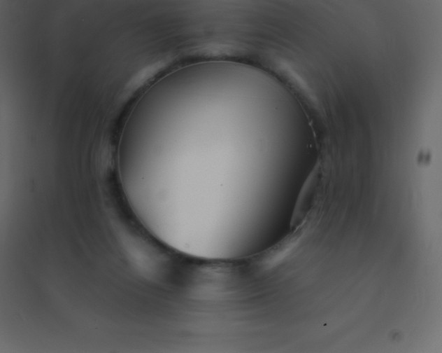 X0000094950164200712131630