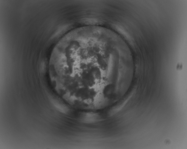 X0000094950165200712131630