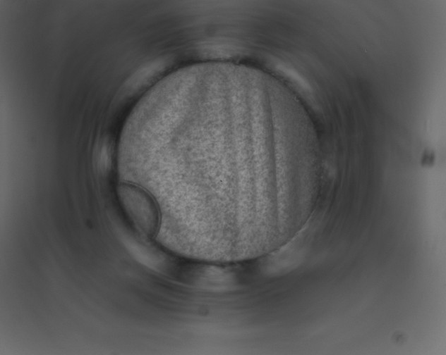 X0000094950166200712131630