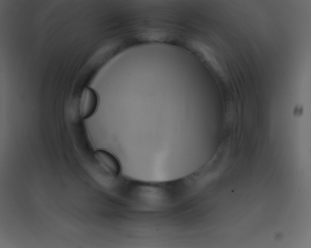 X0000094950167200712131630