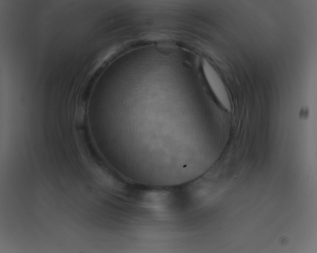 X0000094950168200712131630