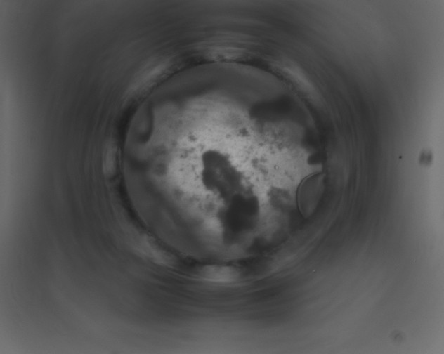 X0000094950169200712131630