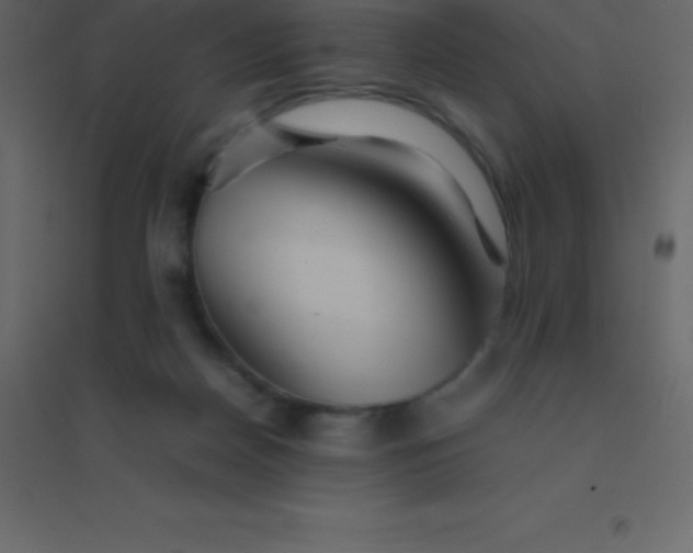 X0000094950170200712131630