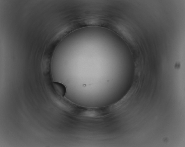 X0000094950171200712131630