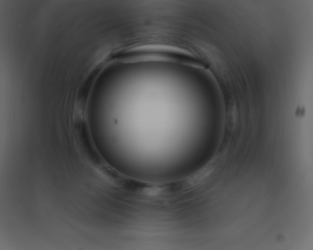 X0000094950172200712131630