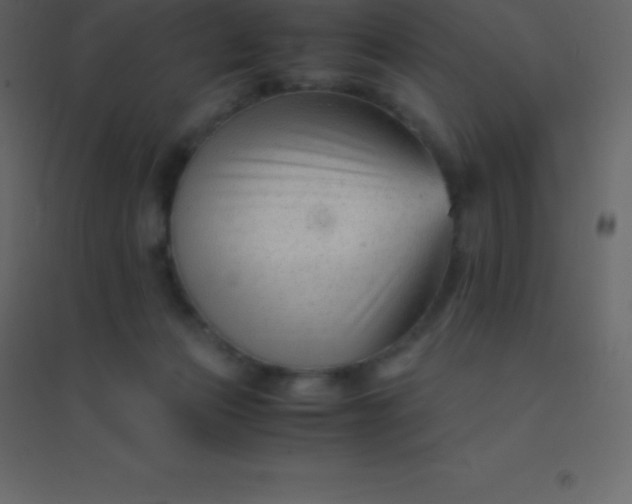 X0000094950173200712131630