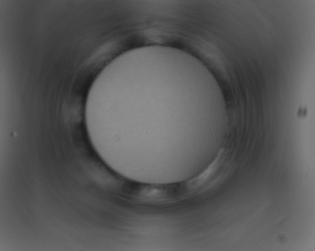 X0000094950174200712131630