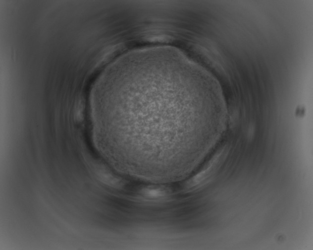 X0000094950175200712131630