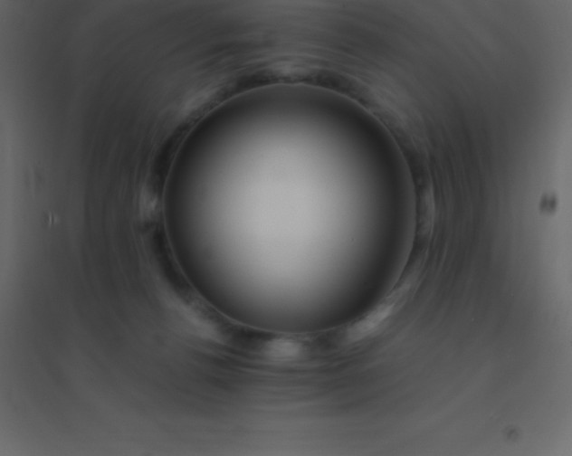 X0000094950176200712131630