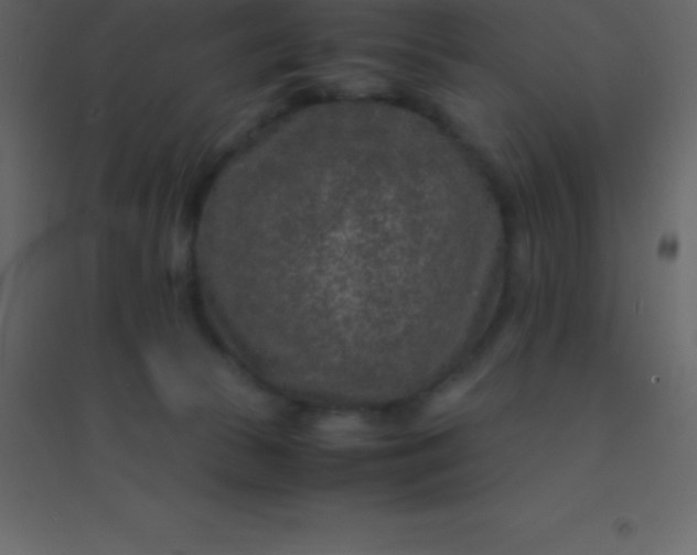 X0000094950177200712131630