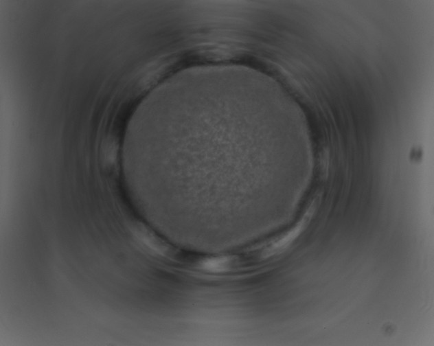 X0000094950178200712131630