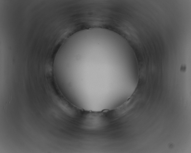 X0000094950179200712131630