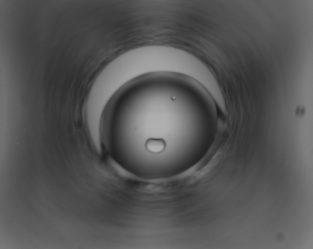 X0000094950180200712131630