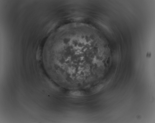 X0000094950181200712131630