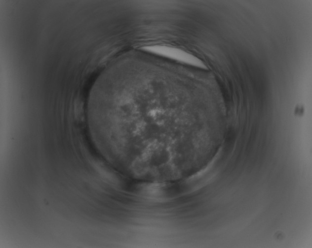 X0000094950182200712131630