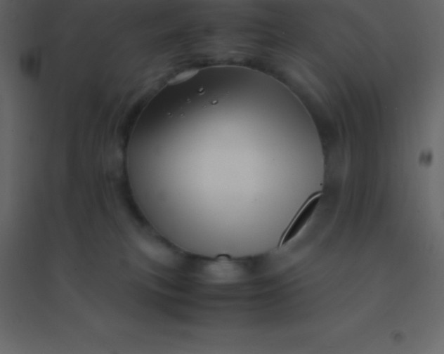 X0000094950183200712131630