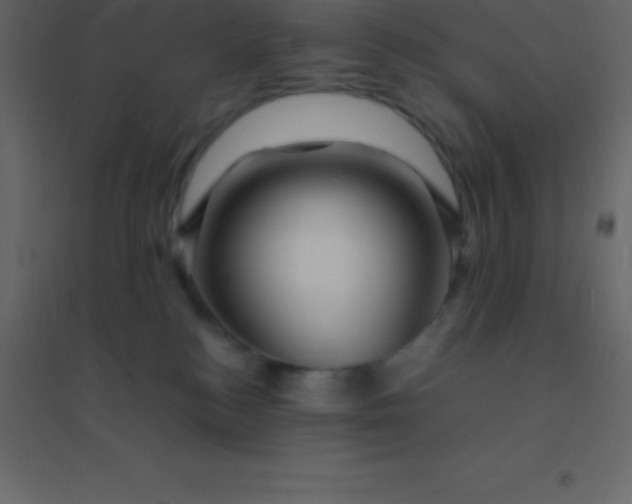 X0000094950184200712131630