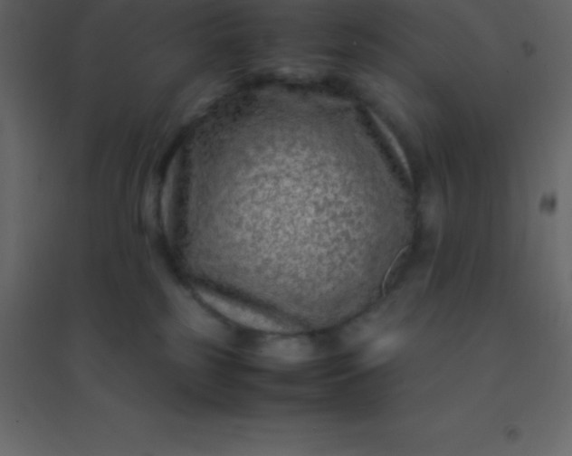 X0000094950185200712131630