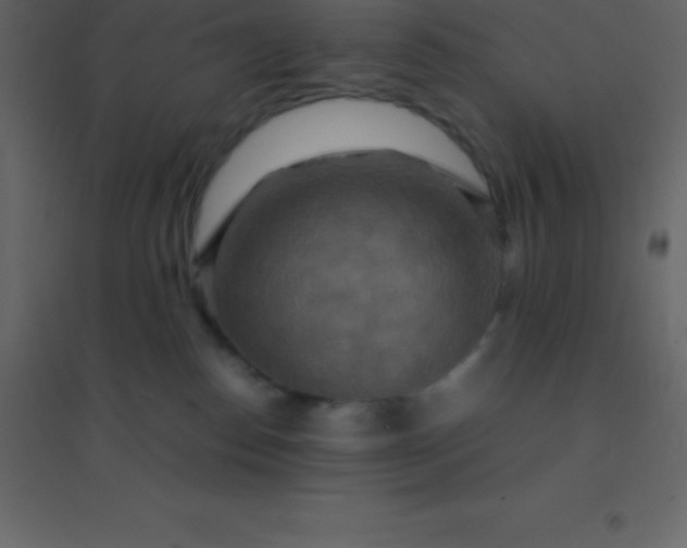 X0000094950186200712131630