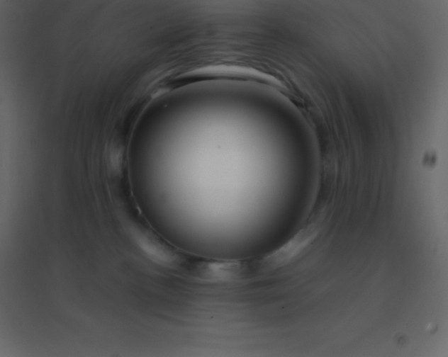 X0000094950188200712131630