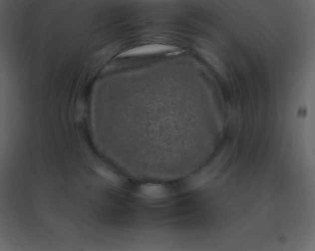 X0000094950189200712131630