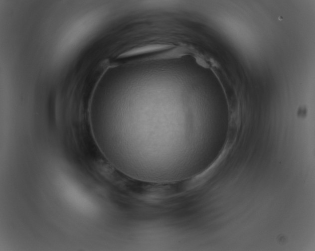 X0000094950191200712131630