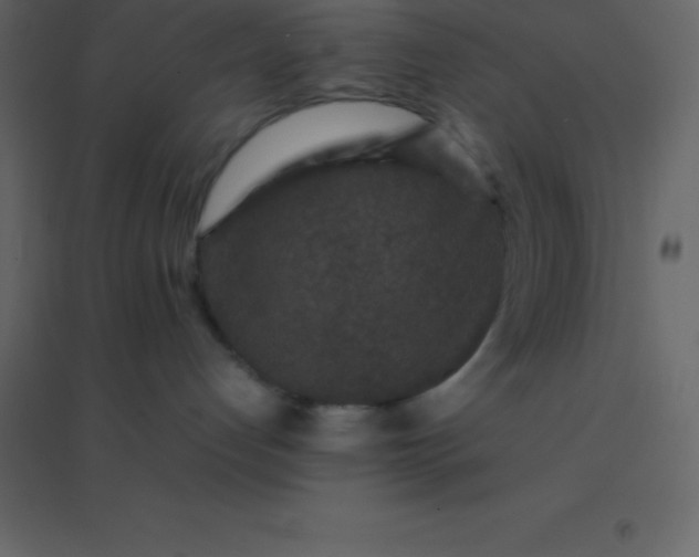 X0000094950192200712131630