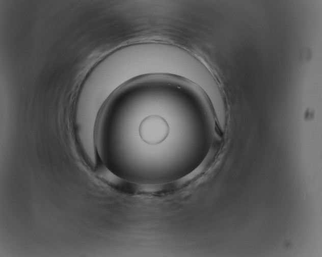 X0000094950193200712131630