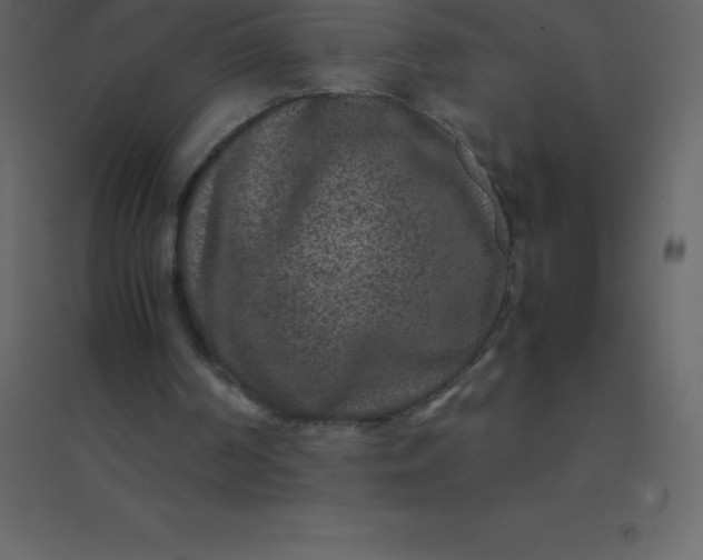 X0000094950194200712131630