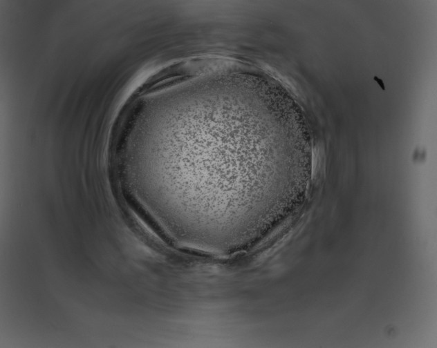 X0000094950195200712131630