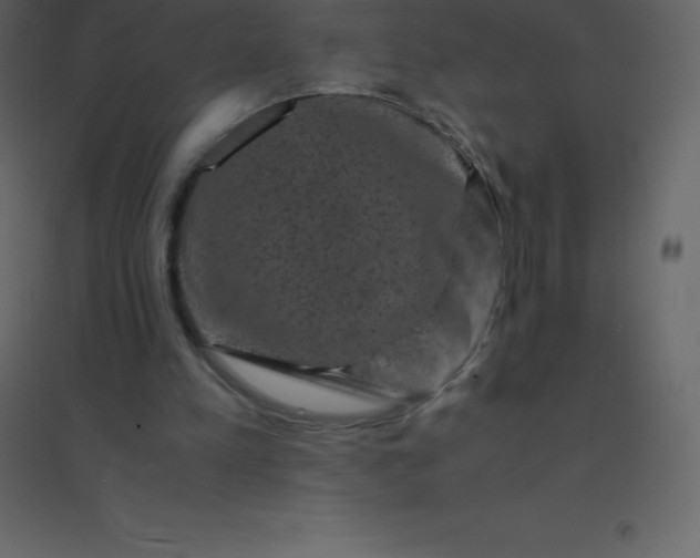 X0000094950197200712131629