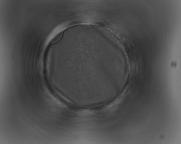 X0000094950198200712131629