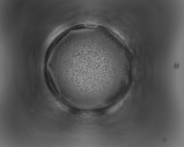 X0000094950199200712131629