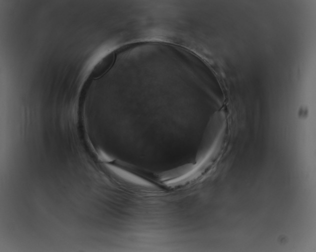 X0000094950200200712131629