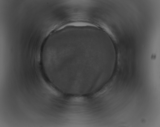 X0000094950202200712131629