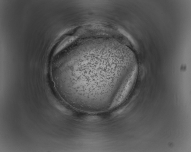 X0000094950203200712131629