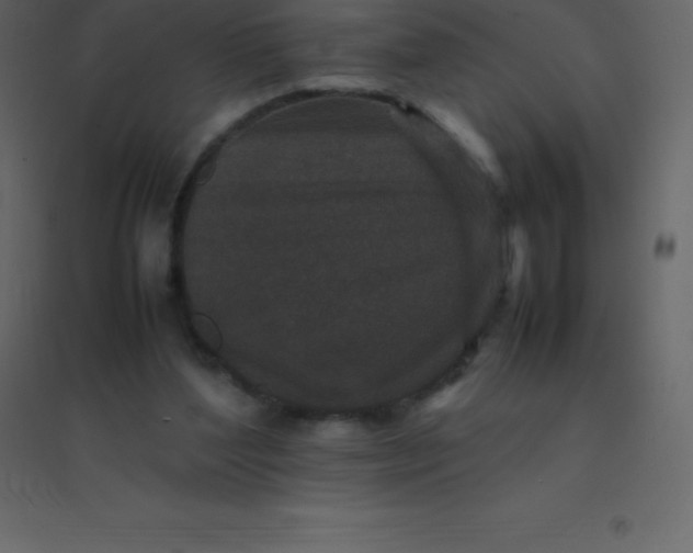 X0000094950204200712131629