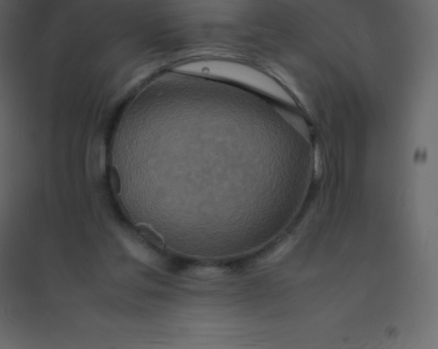 X0000094950205200712131629