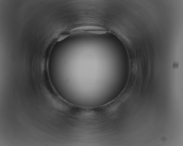 X0000094950206200712131629