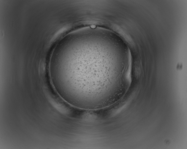 X0000094950207200712131629