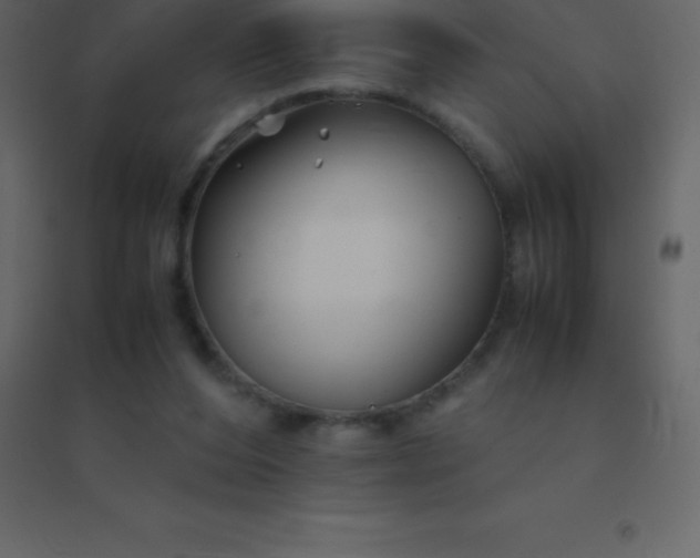 X0000094950208200712131629