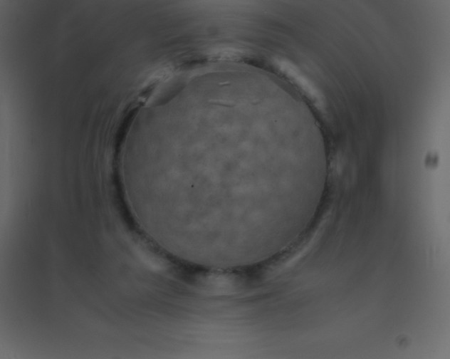 X0000094950209200712131629