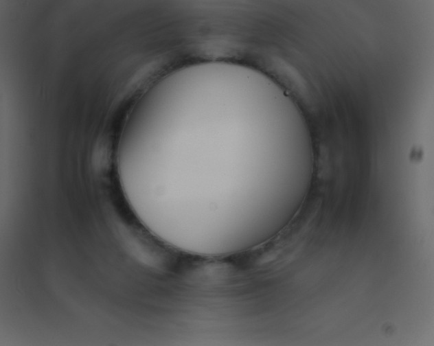 X0000094950210200712131629