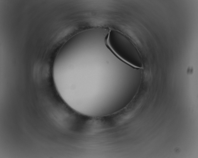 X0000094950211200712131629