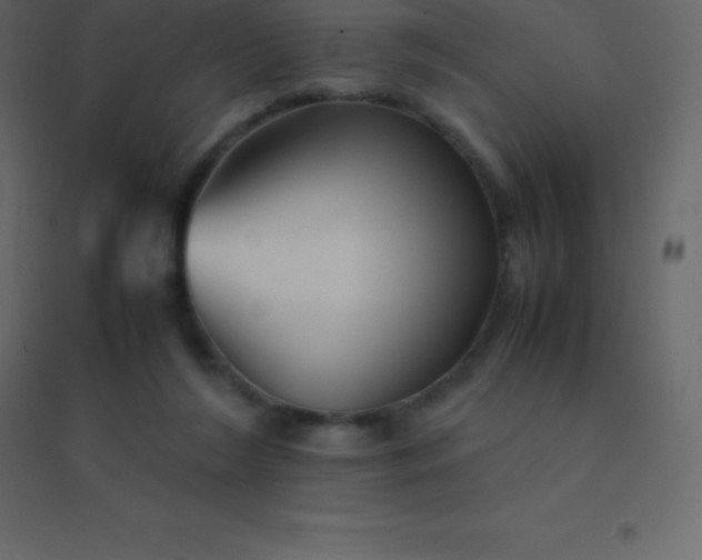 X0000094950212200712131629