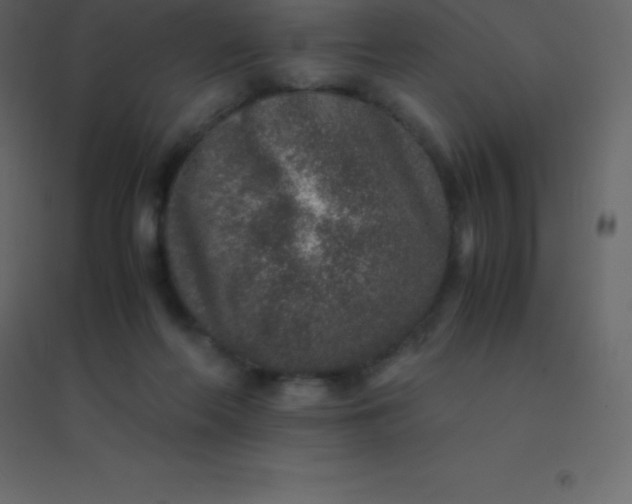 X0000094950214200712131629