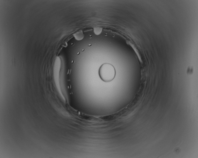 X0000094950215200712131629